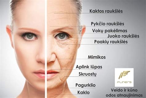 schema: odos senėjimo procesas ir raukšlių atsiradimo vietos