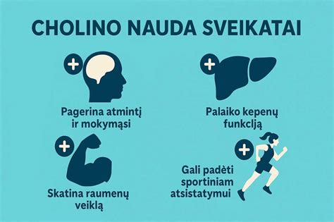 Naminės giros nauda sveikatai - infografika