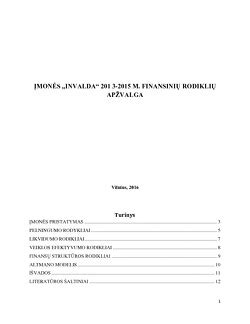 Įmonės finansinių rodiklių apžvalga