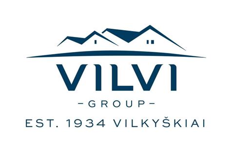 „Vilvi Group“ įmonių struktūra ir produktai