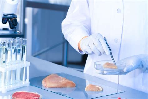Laboratorijoje auginamos mėsos ląstelės