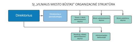 organizacinė įmonės struktūra