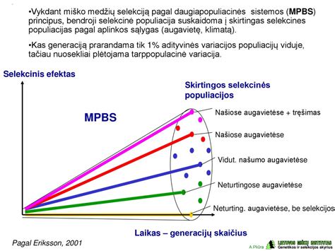 Mėsmalių našumo grafikas pagal įstaigos tipą