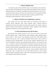 Mėsos mikrobinis gedimas