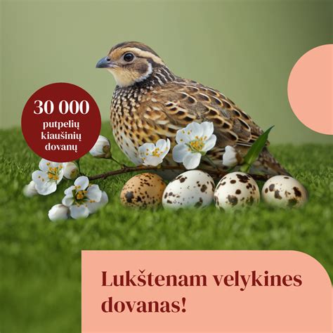 Japoninių putpelių kiaušinių dėmėtumas