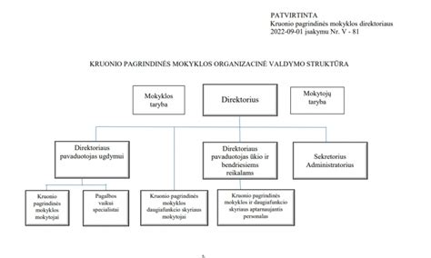 Picos akmens medžiagos ir struktūros schema