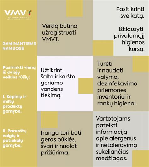 Schema: Maisto gamybos namuose procesas ir VMVT žingsniai