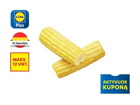 Šviežios kukurūzų burbuolės turguje
