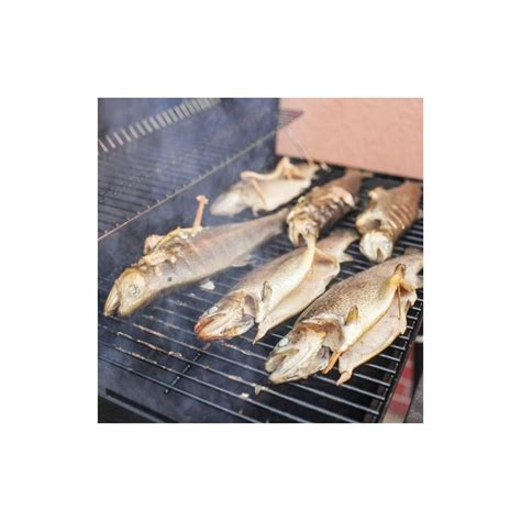 Plekšnės kepimas ant grotelių