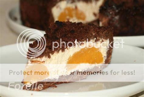 Ingredientai pyragui su varške ir persikais