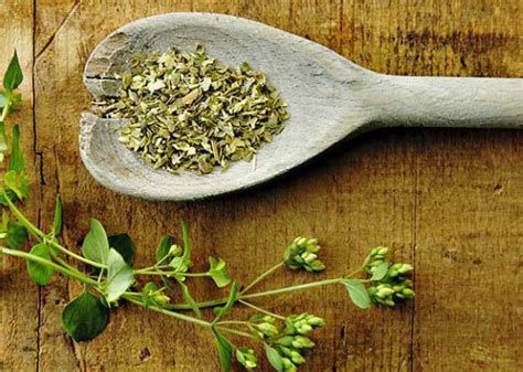 Įvairios žolelės marinavimui