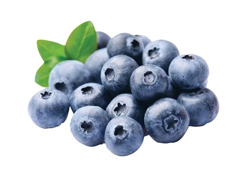 Šilauogės keksiukų tešloje