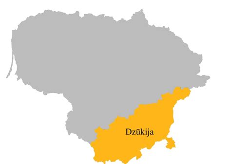 Dzūkijos regionas Lietuvos žemėlapyje