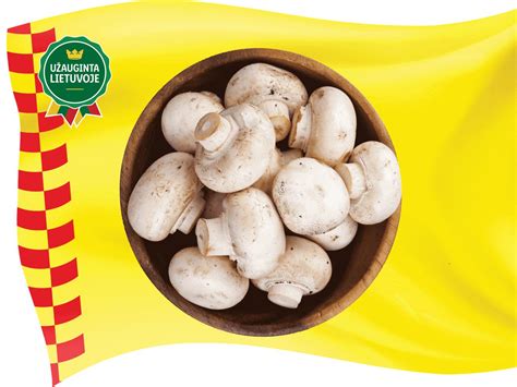 Švieži pievagrybiai