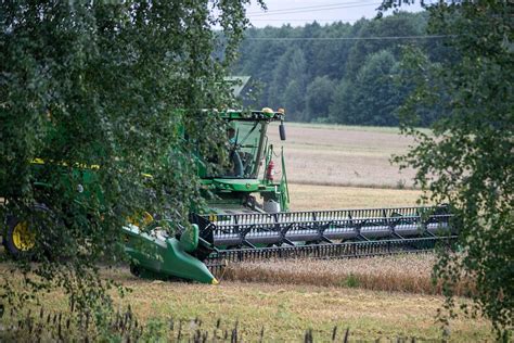 Grūdų derliaus nuėmimas kombainu