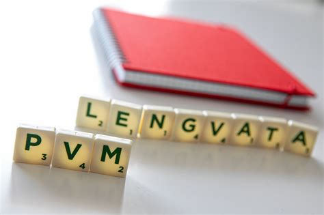 Infografika: PVM lengvatos panaikinimo įtaka maitinimo įstaigų kainoms