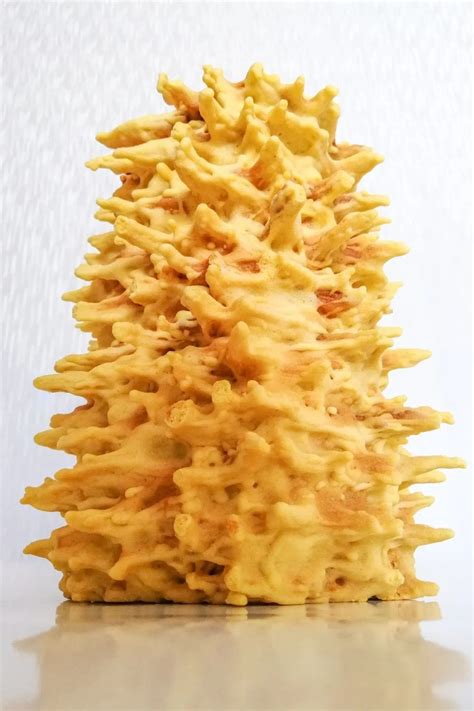 Šventiškas šakotis