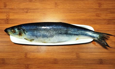 Lėkštės su maisto produktų proporcijomis