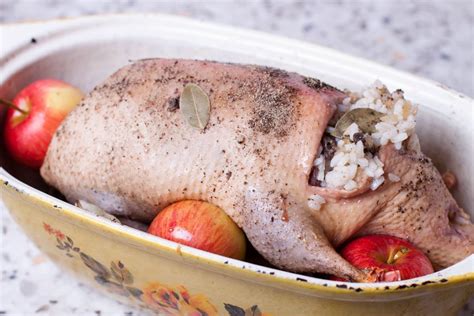 Anties paruošimas ir odelės subadymas