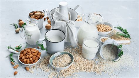 schematinis pieno produktų ir laktozės netoleravimo ryšys