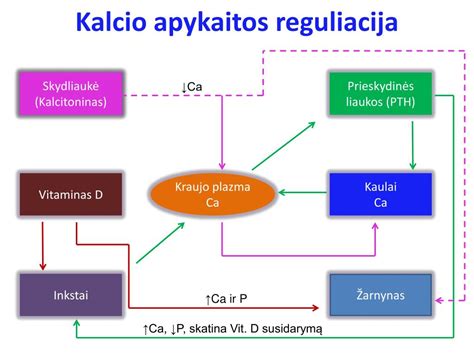 stalas su įvairiais kalcio ir vitamino D šaltiniais