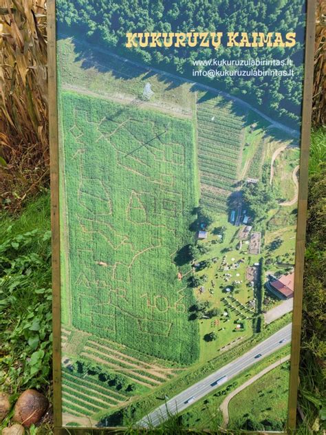 Vaizdas į kaimą vaikystėje