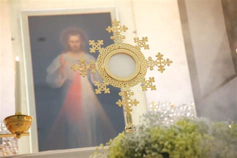 Schema, vaizduojanti Eucharistijos šventimo struktūrą