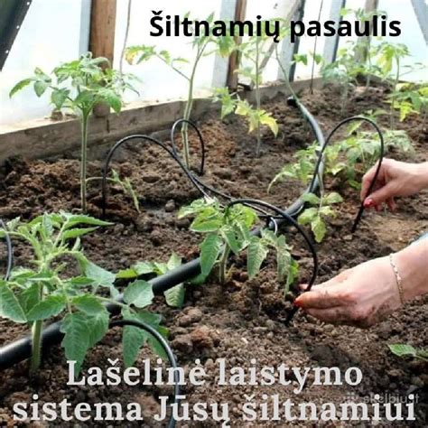 Laistymo sistema daržui