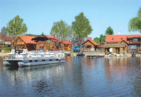 Lietuviškas kaimo sodybos vaizdas su karvėmis