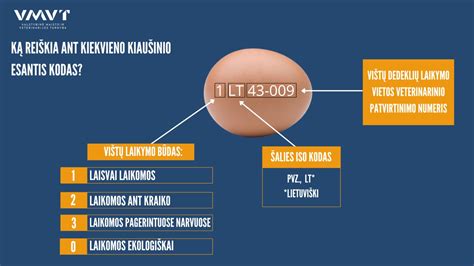 Kiaušinių ženklinimo paaiškinimas