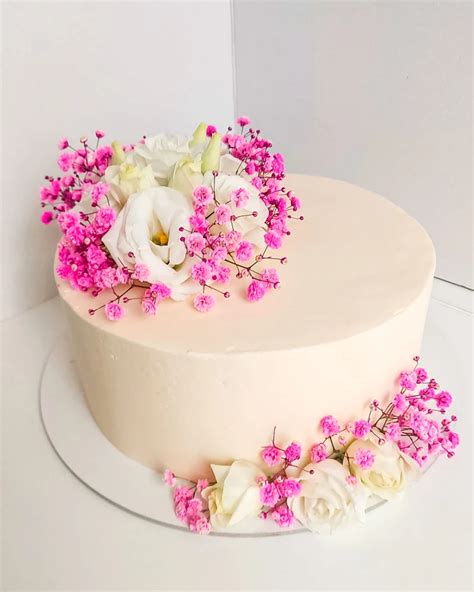 cukrines geles tortui