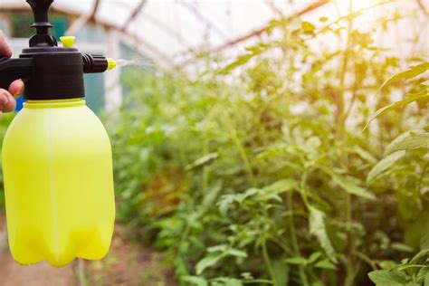 Cezve indas ir jo naudojimas