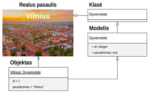 schema su skirtingomis šonkauliukų rūšimis ir jų savybėmis