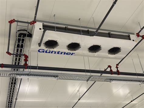 Schema, kaip veikia marinatas ant mėsos