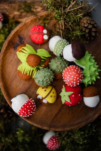 senoviniai meduoliniai grybukai