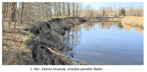 Upės krantas su aligatoriais