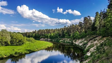 Upės krantai su krokodilais