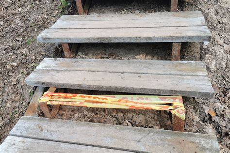 Dasiai ant Stalo kalno uolų