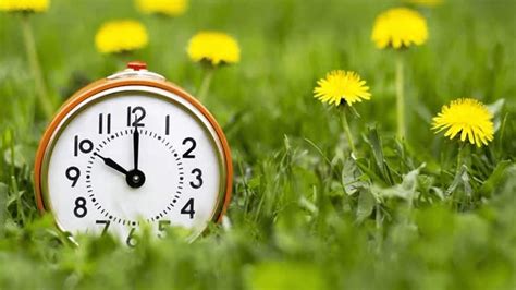 Vasaros laiko simbolis