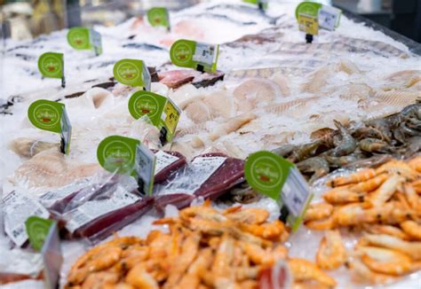 Įvairios žuvies rūšys