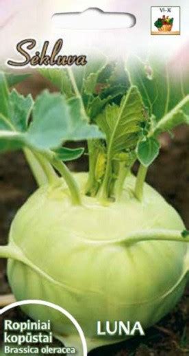 Kopūstai ropiniai 'Luna Baltic'