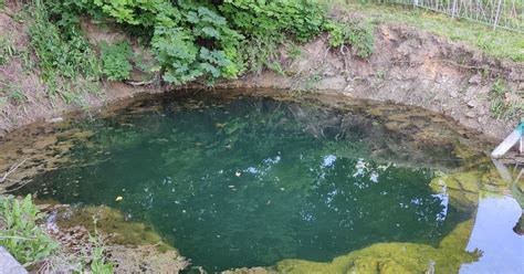 Žalsvasis šaltinis Pasvalyje