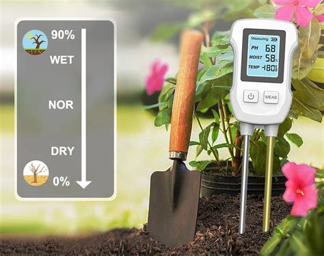 Schema su optimaliu dirvožemio pH kopūstų auginimui