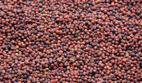 Rožinių pipirų medžio vaisiai