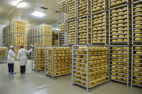 Pieno produktų eksportas į Kiniją