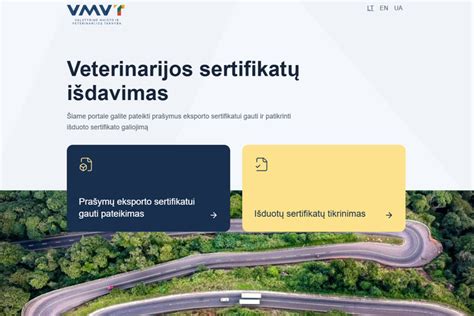 VMVT kontrolės procesas