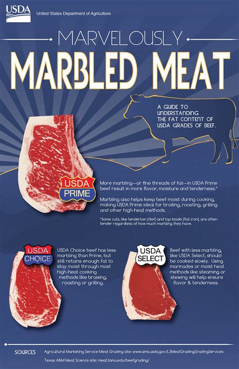 schema showing fat marbling in meat