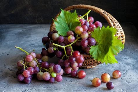 Vynuogės užkandžiams