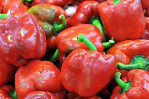 Kvapiojo pimento medis