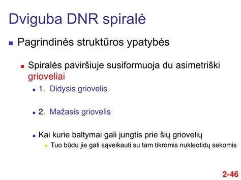 DNR dviguba spiralė